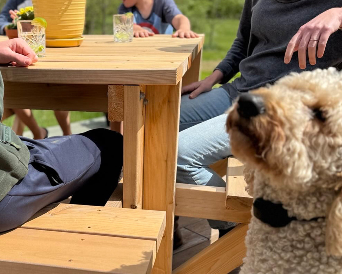 Picnic Perfect: Your New Favorite Outdoor Table