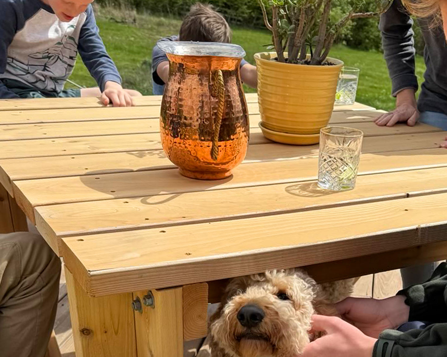 Picnic Perfect: Your New Favorite Outdoor Table